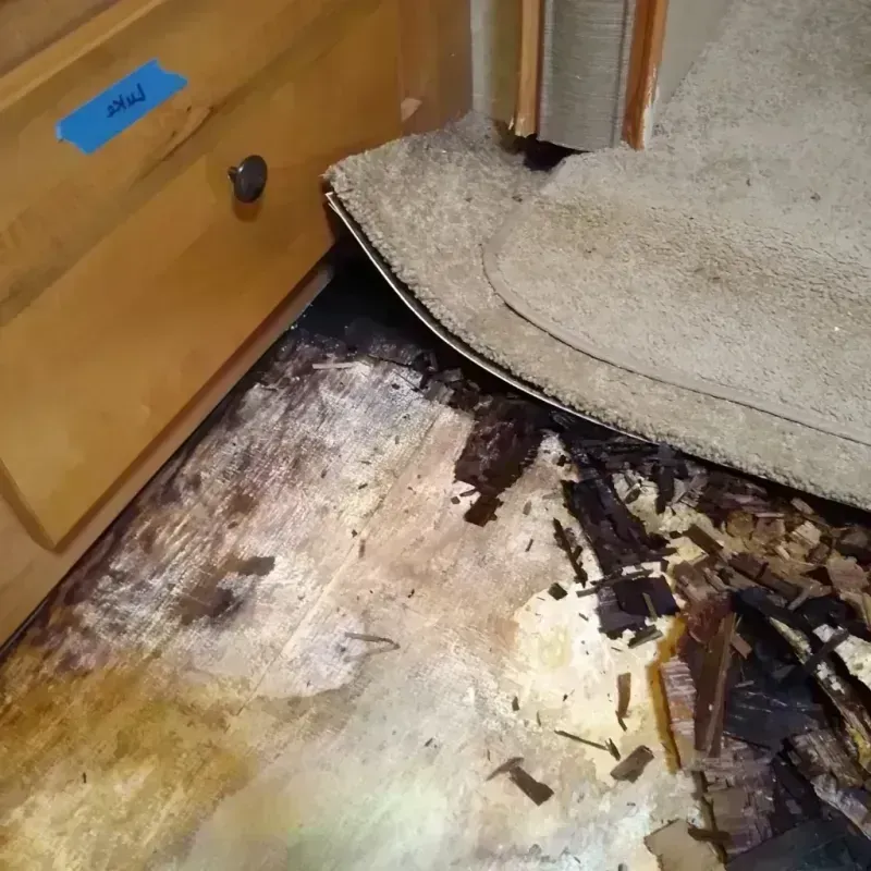 Wood Floor Water Damage in Lopezville, TX